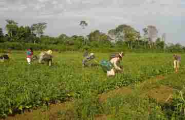 Programa AgroAmigo oferece R$ 1 bilhão em microcrédito 